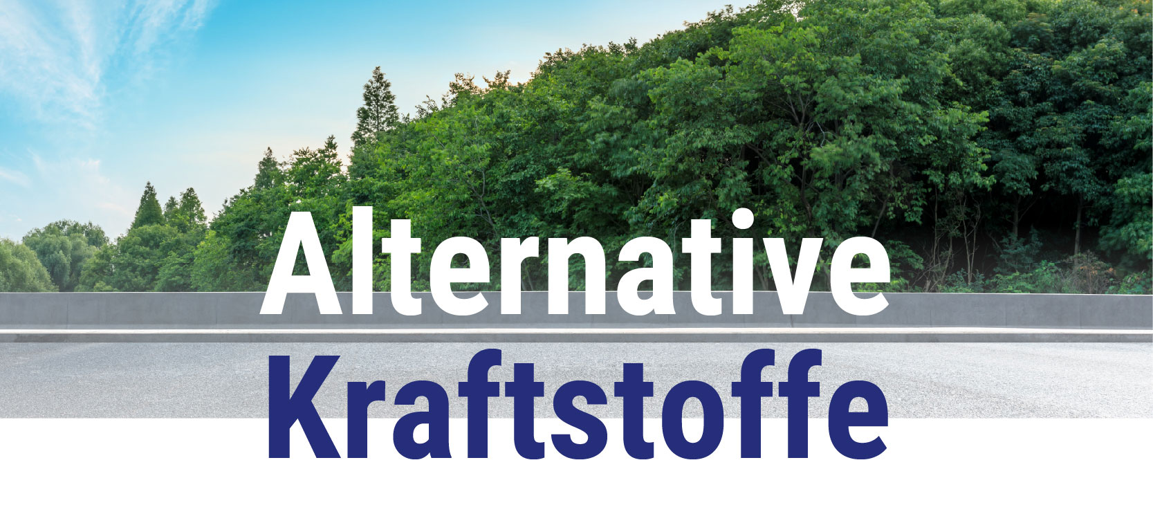 Symbolbild für alternative Kraftstoffe mit Straße und grüner Landschaft als Illustration nachhaltiger Mobilität.